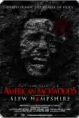 《Slew Hampshire》全集高清完整版在线观看与剧情解析