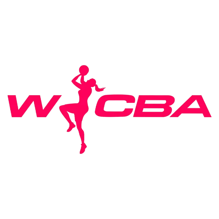 《WCBA 16进8决赛石家庄英励VS山东赤水河酒20250228》全集高清完整版在线观看与剧情解析