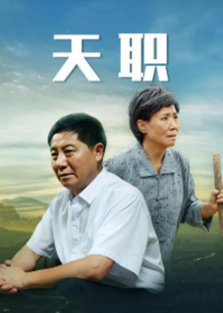 《天职2013》全集高清完整版在线观看与剧情解析