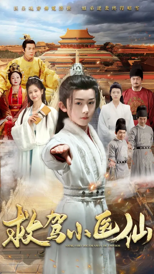 《救驾小医仙》全集高清完整版在线观看与剧情解析