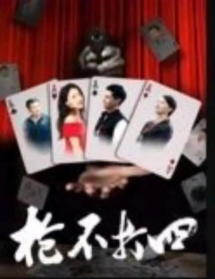 《枪不打四》全集高清完整版在线观看与剧情解析