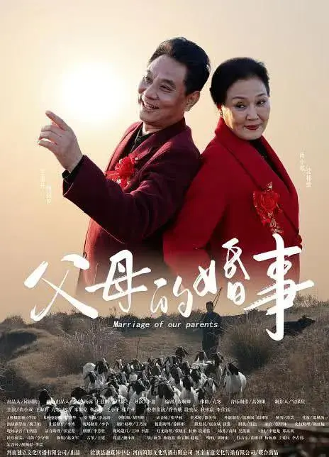 《父母的婚事（戏曲豫剧）》全集高清完整版在线观看与剧情解析
