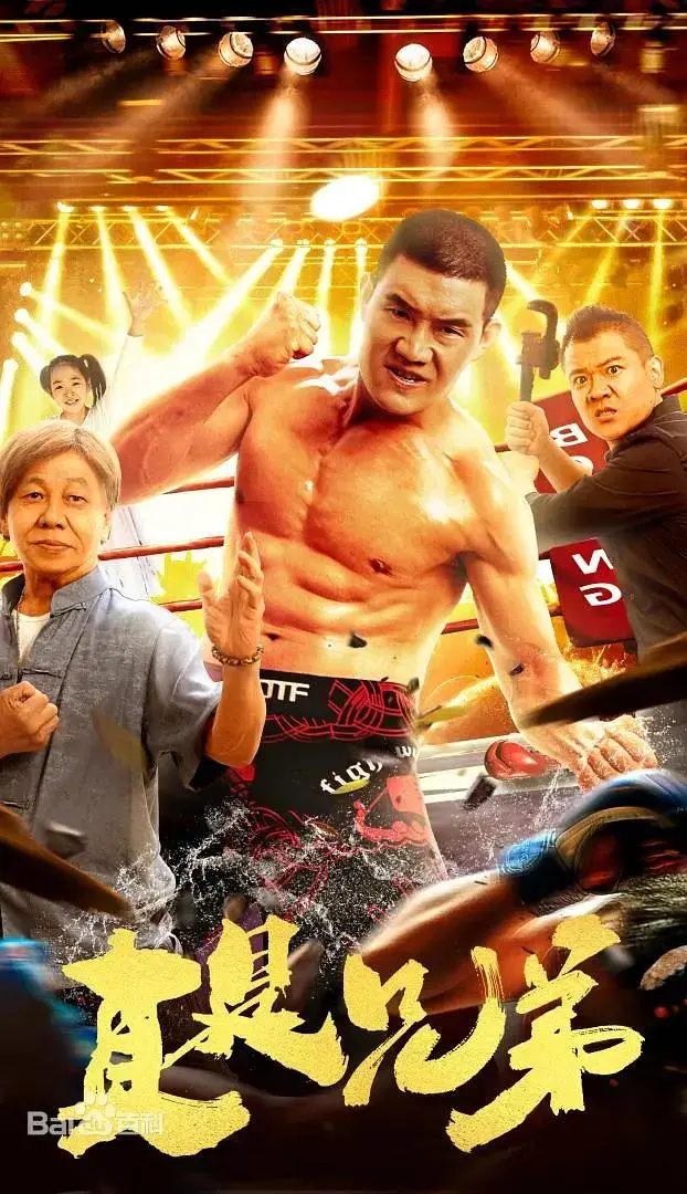 《真是兄弟》全集高清完整版在线观看与剧情解析