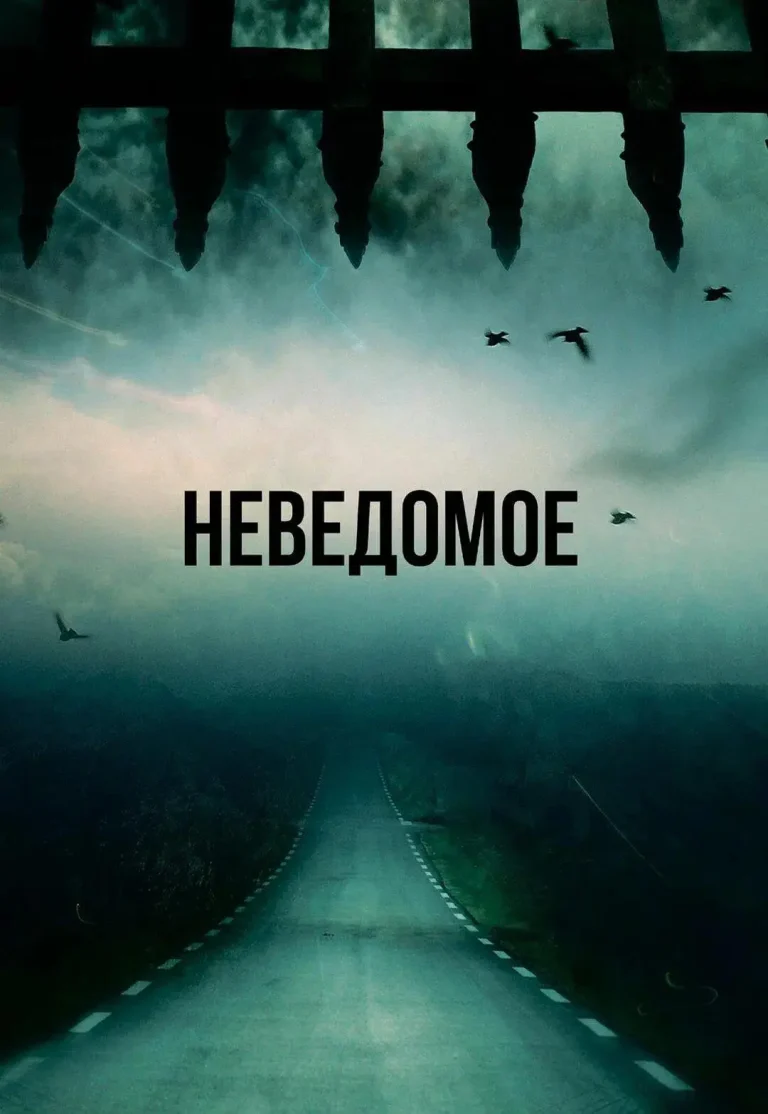 《穿越时间》全集高清完整版在线观看与剧情解析