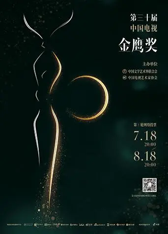 《第三十届中国电视金鹰奖》全集高清完整版在线观看与剧情解析