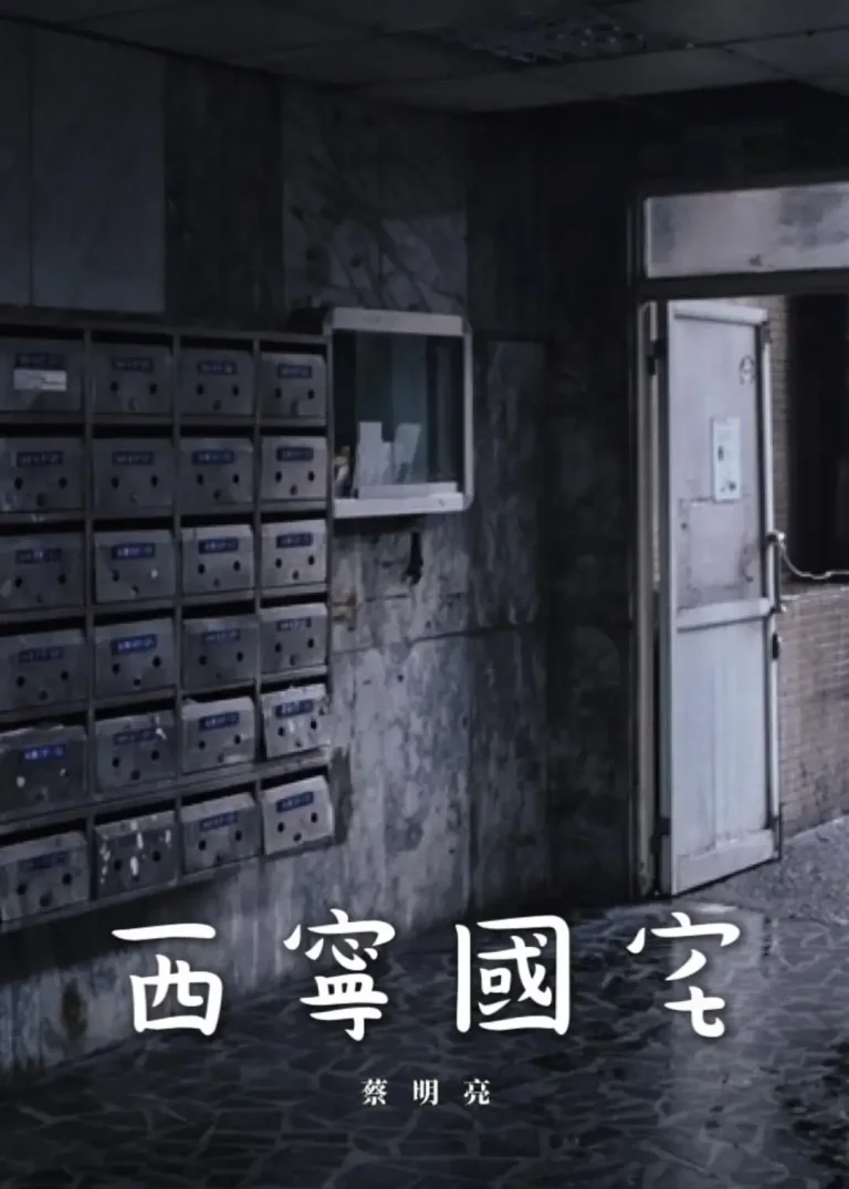 《西宁国宅[电影解说]》全集高清完整版在线观看与剧情解析