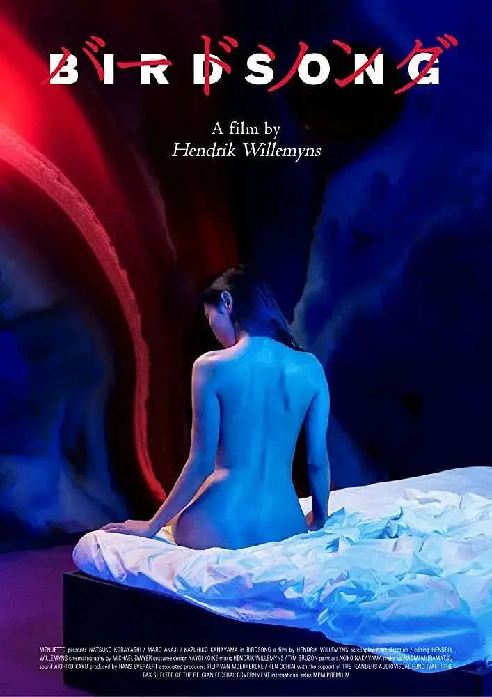 《鸟之歌》全集高清完整版在线观看与剧情解析