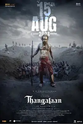 《黄金矿工》全集高清完整版在线观看与剧情解析