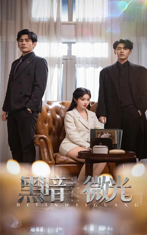 《黑暗微光》全集高清完整版在线观看与剧情解析